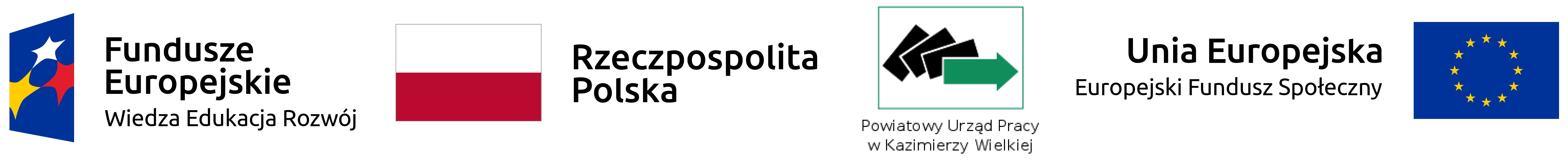 Logo programu PO WER